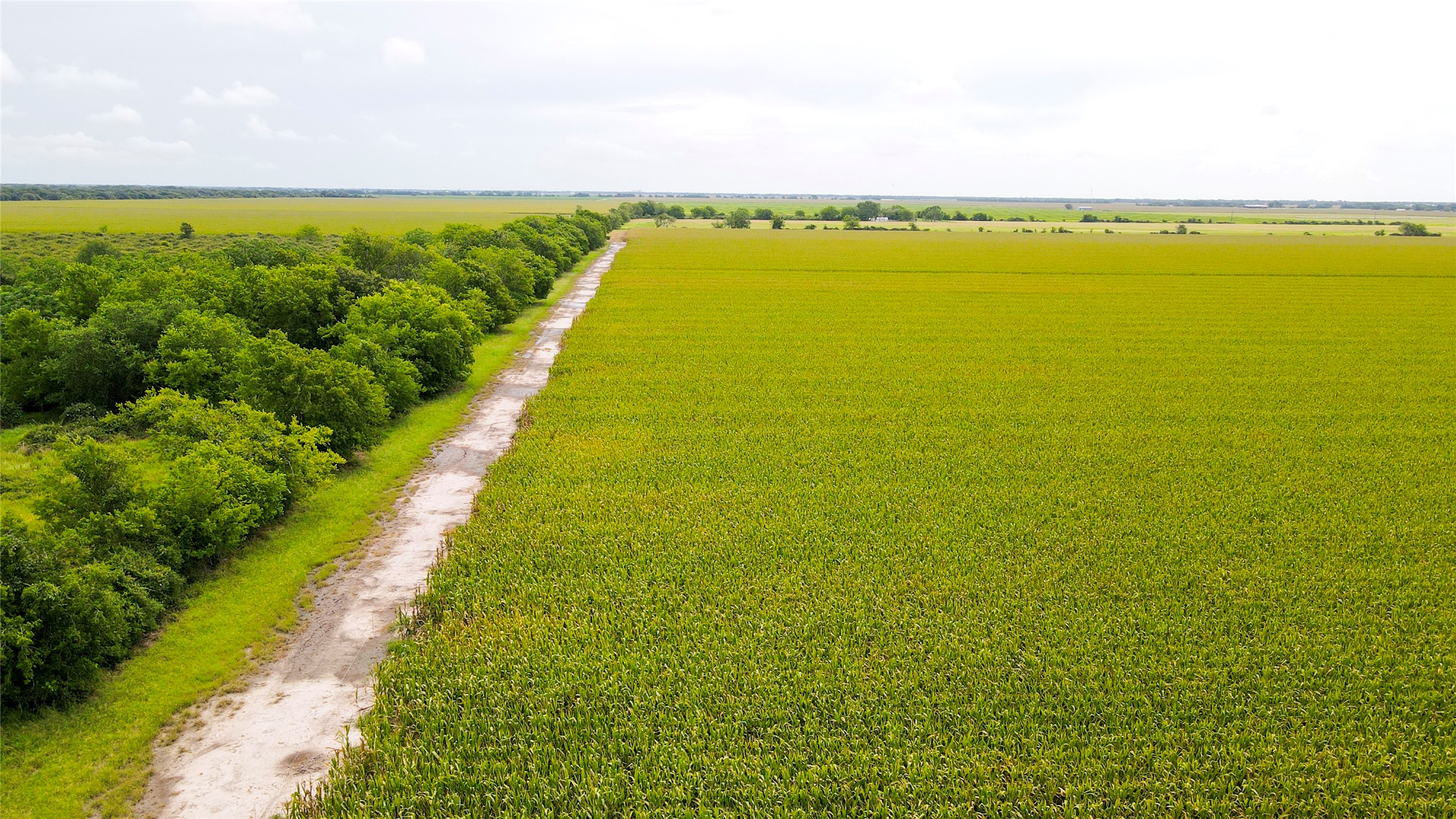 0 County Road 384 Louise, TX 77455 - Photo 16 of 20 a view of an ocean from a balcony