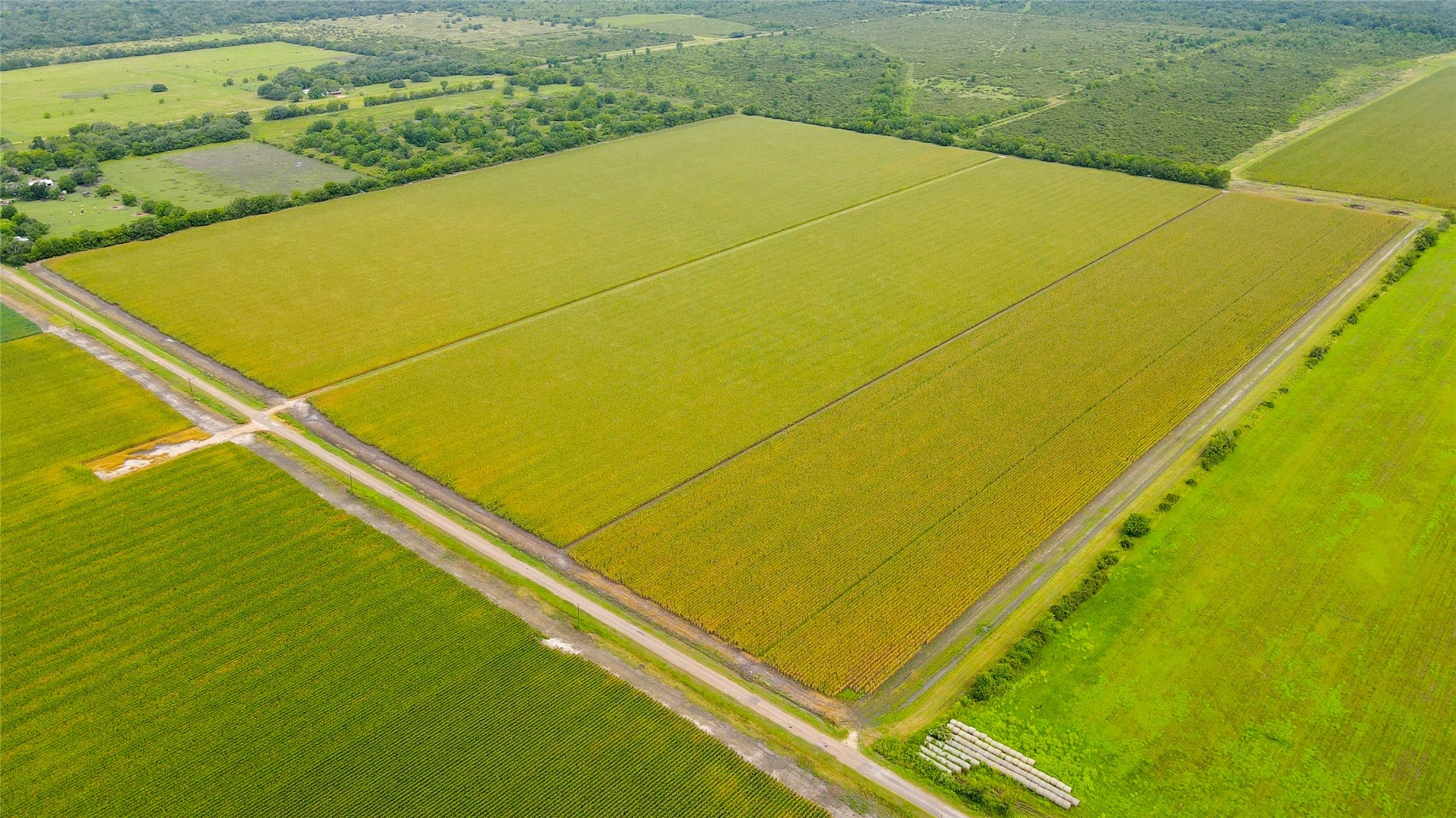 0 County Road 384 Louise, TX 77455 - Photo 2 of 20 a view of a big yard