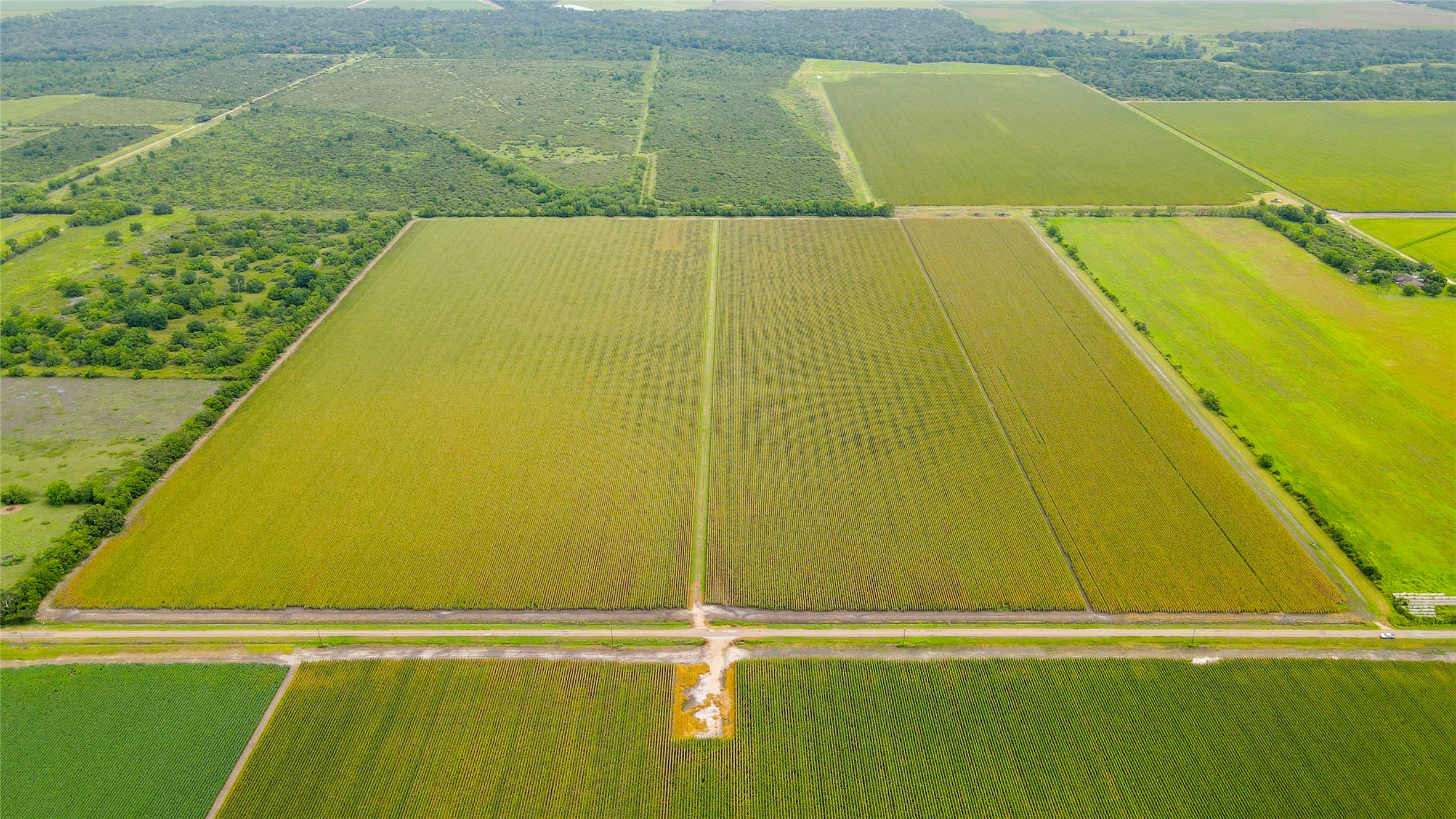 0 County Road 384 Louise, TX 77455 - Photo 3 of 20