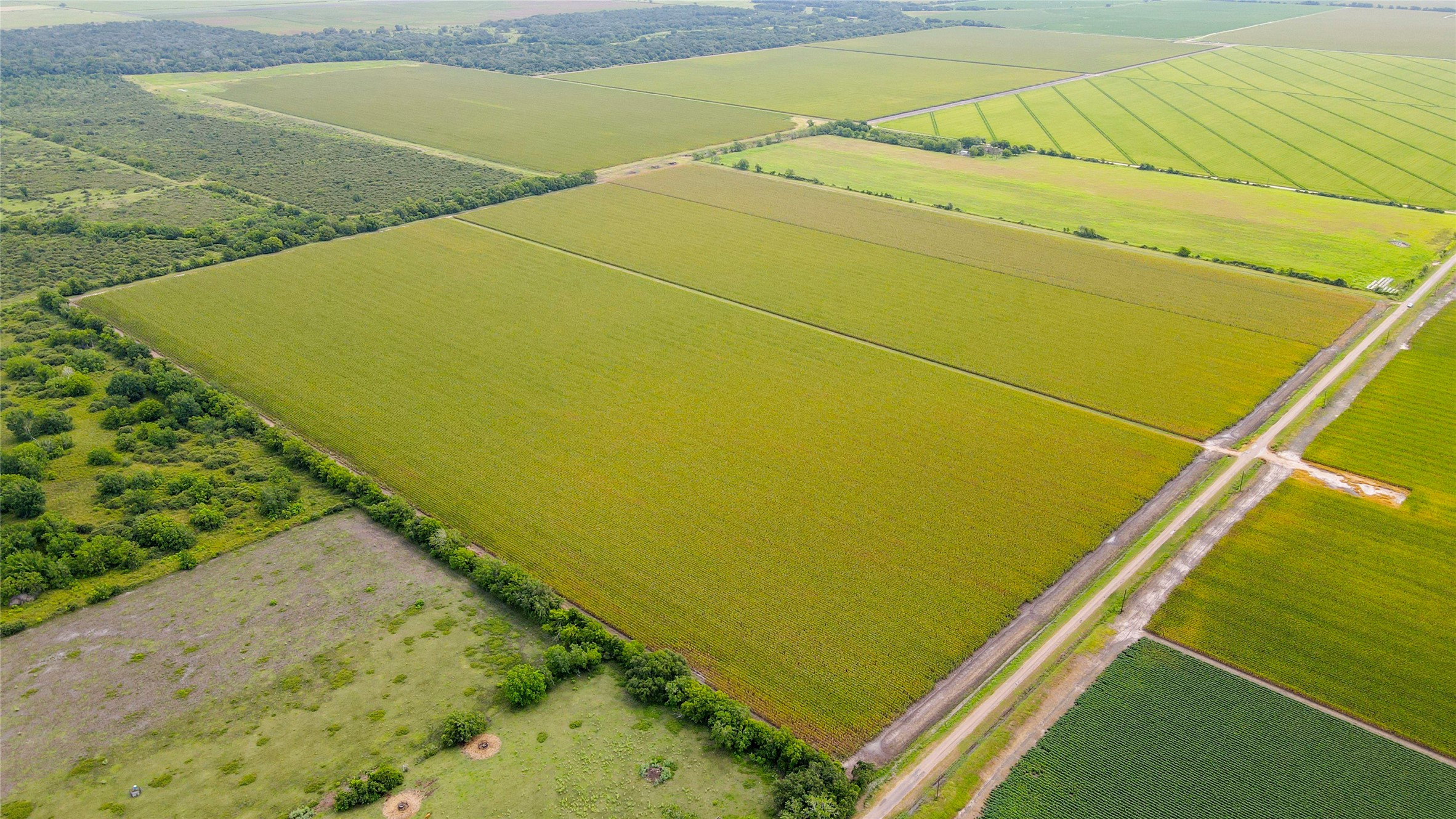 0 County Road 384 Louise, TX 77455 - Photo 4 of 20 a view of outdoor space and ocean view