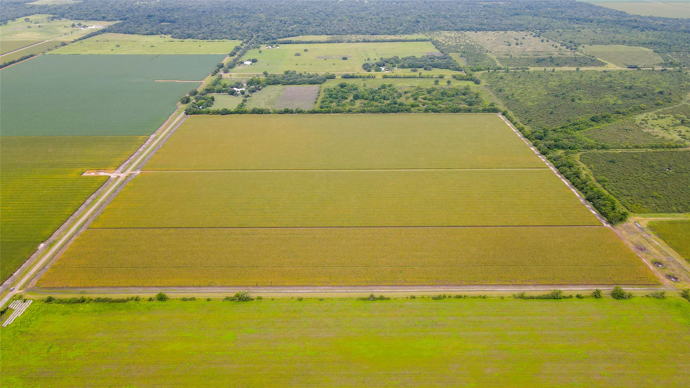 0 County Road 384 Louise, TX 77455 - Photo 8 of 20 a view of a swimming pool