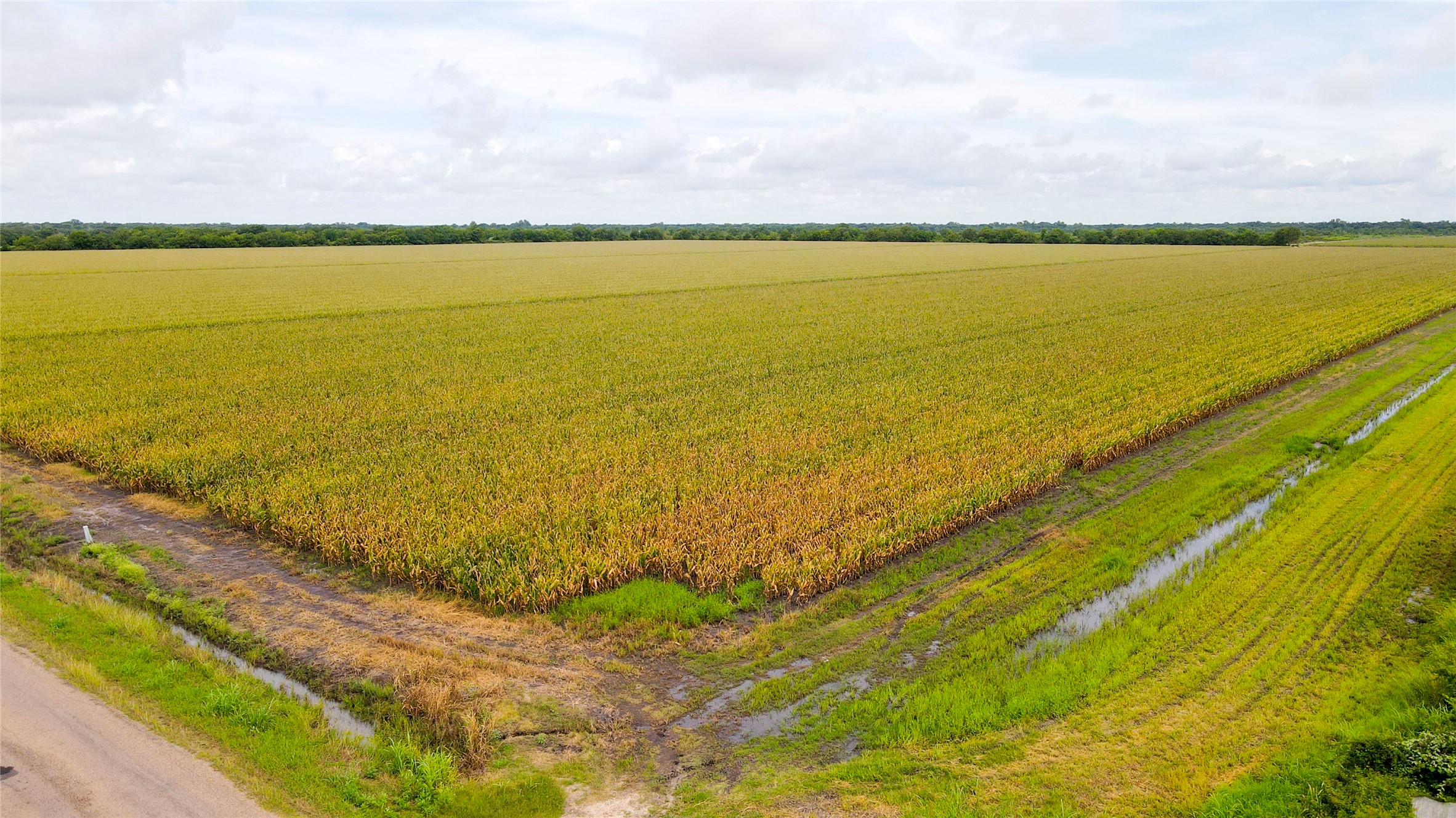 0 County Road 384 Louise, TX 77455 - Photo 9 of 20 a view of an ocean and beach