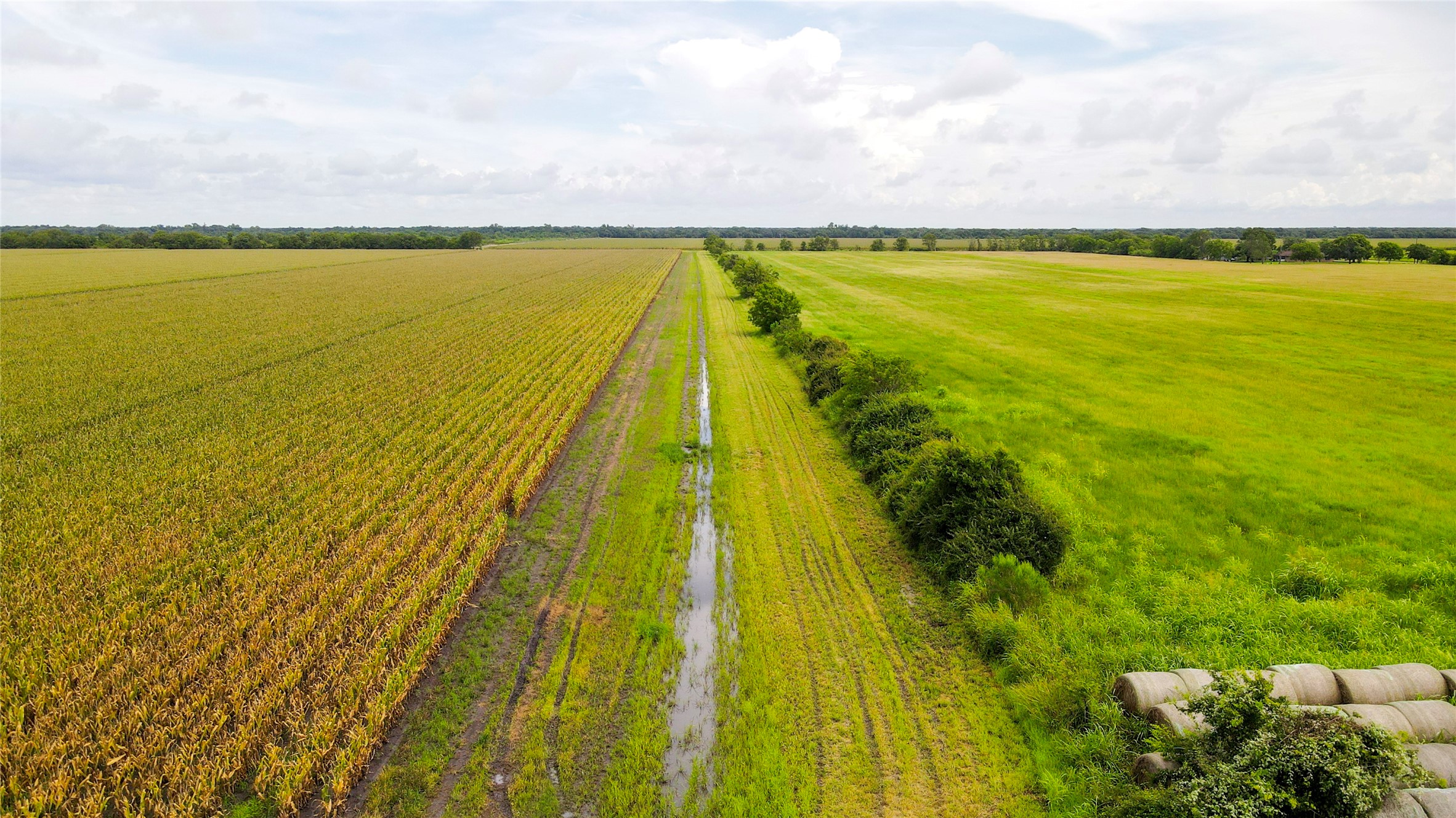 0 County Road 384 Louise, TX 77455 - Photo 10 of 20 a view of an ocean view