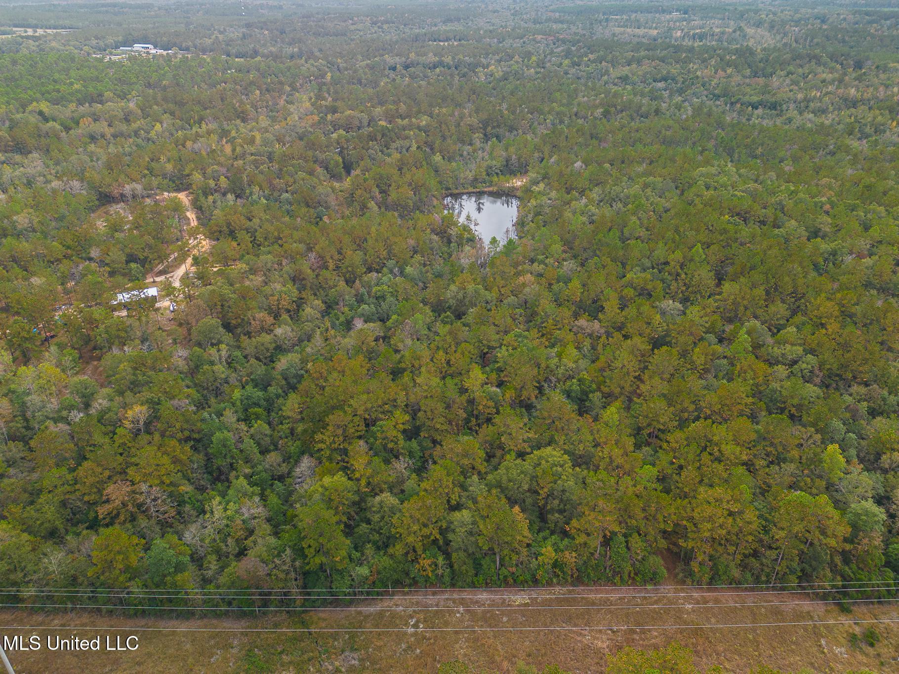 Scott Road Lucedale, MS 39452 - Photo 4 of 30 1000031782