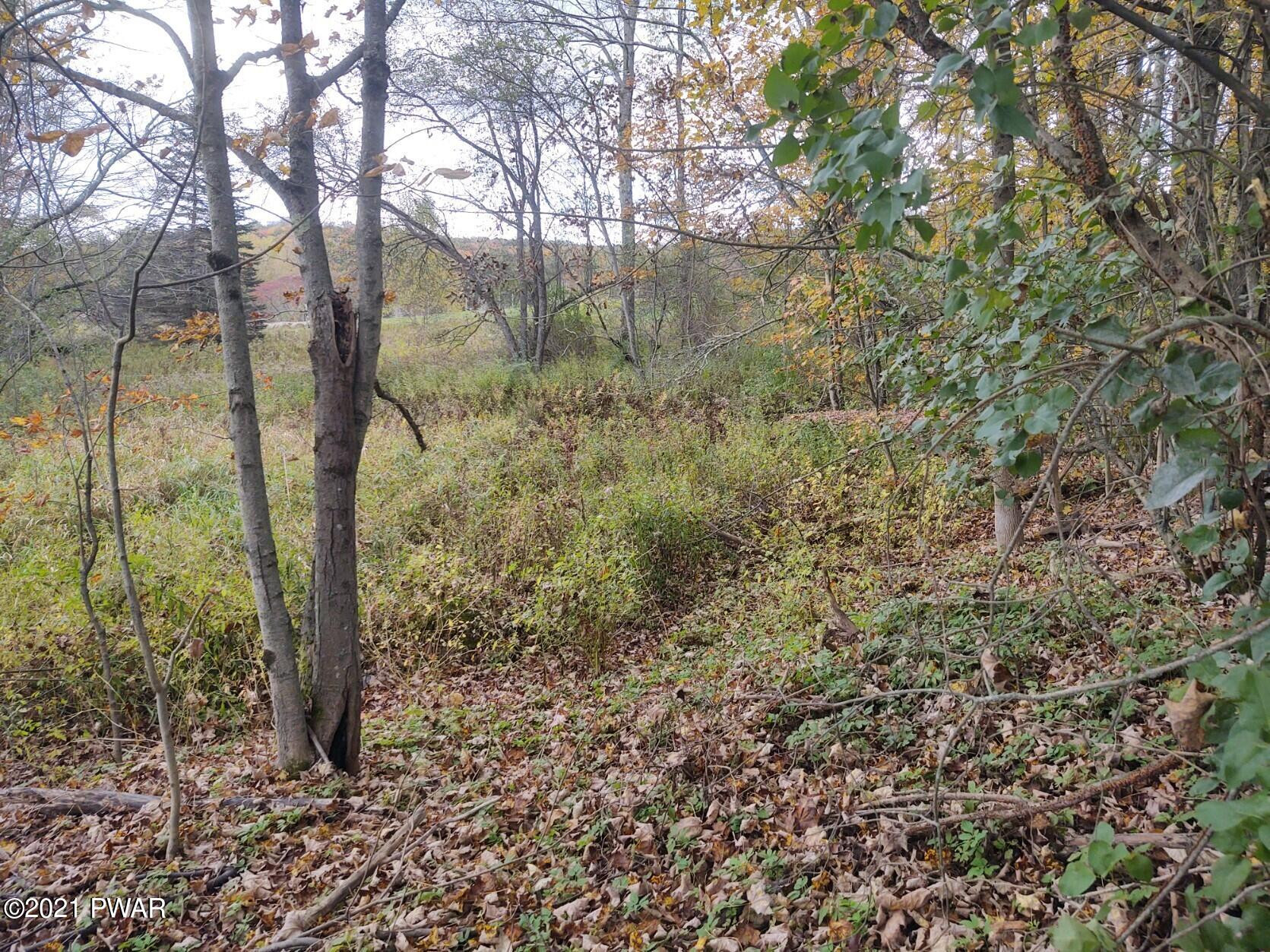 279 Mountain Road Susquehanna, PA 18847 - Photo 22 of 25 wood line