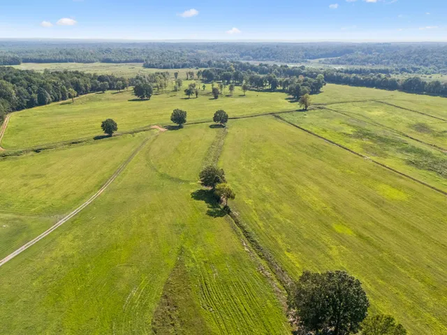 $6,199,000 | 11200 Highway 142, Stantonville, TN 38379
