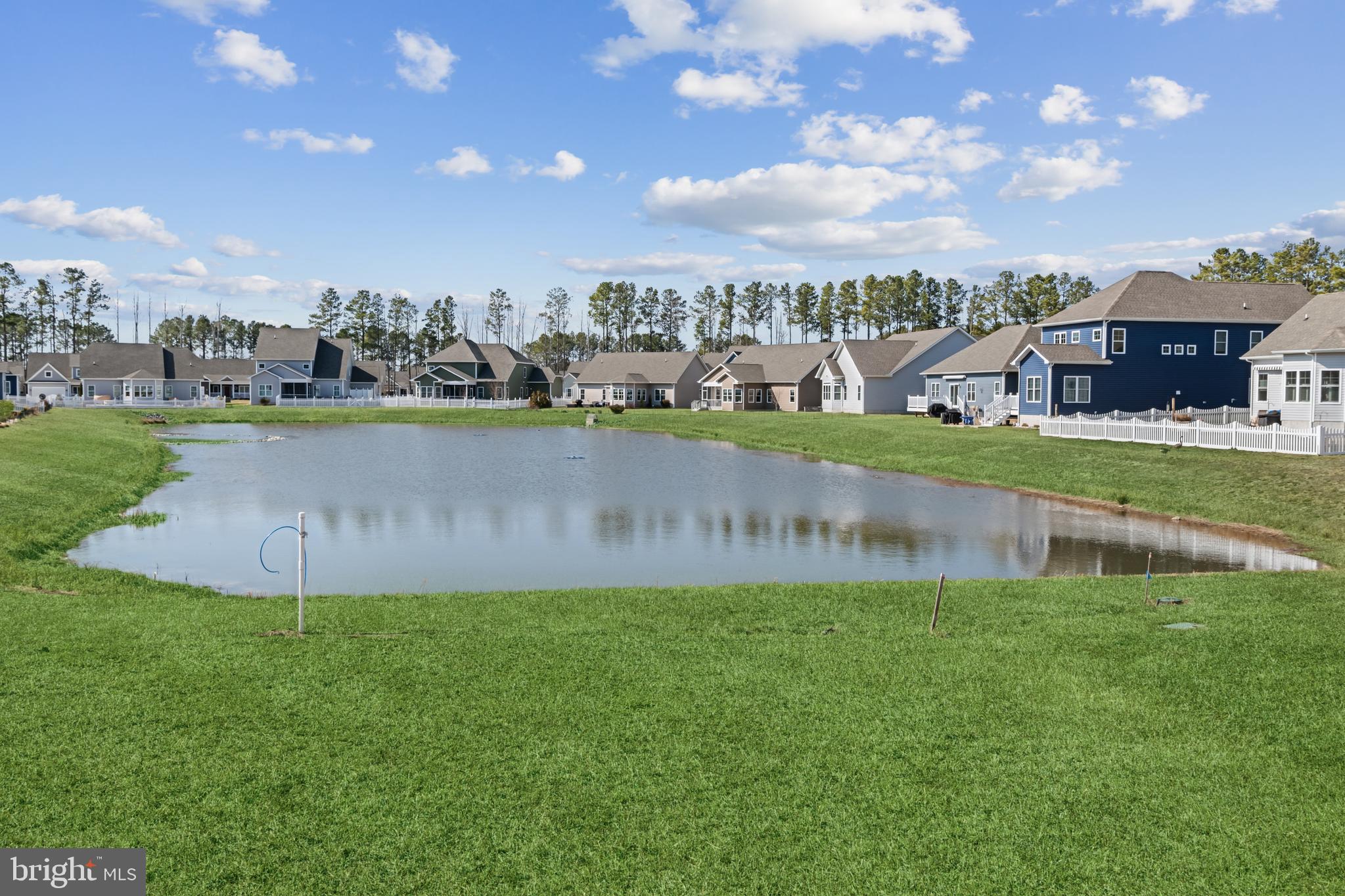 19437 Longfellow Way Georgetown, DE 19947 - Photo 31 of 33 a view of a lake with a big yard and large trees