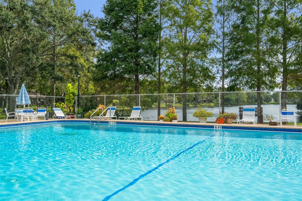 2538 Oakleaf Lane, Unit 33B Clearwater, FL 33763 - Photo 41 of 60