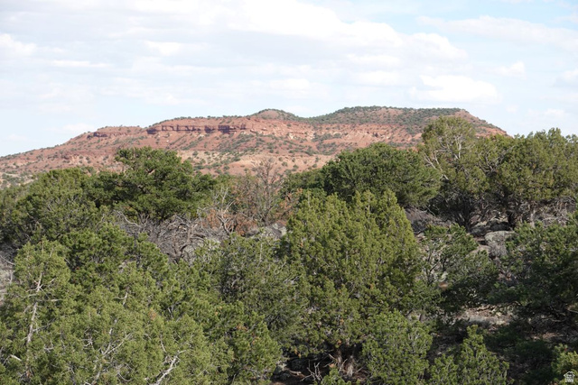 1115 East Donkey Flts Road Teasdale, UT 84773 - Photo 6 of 13