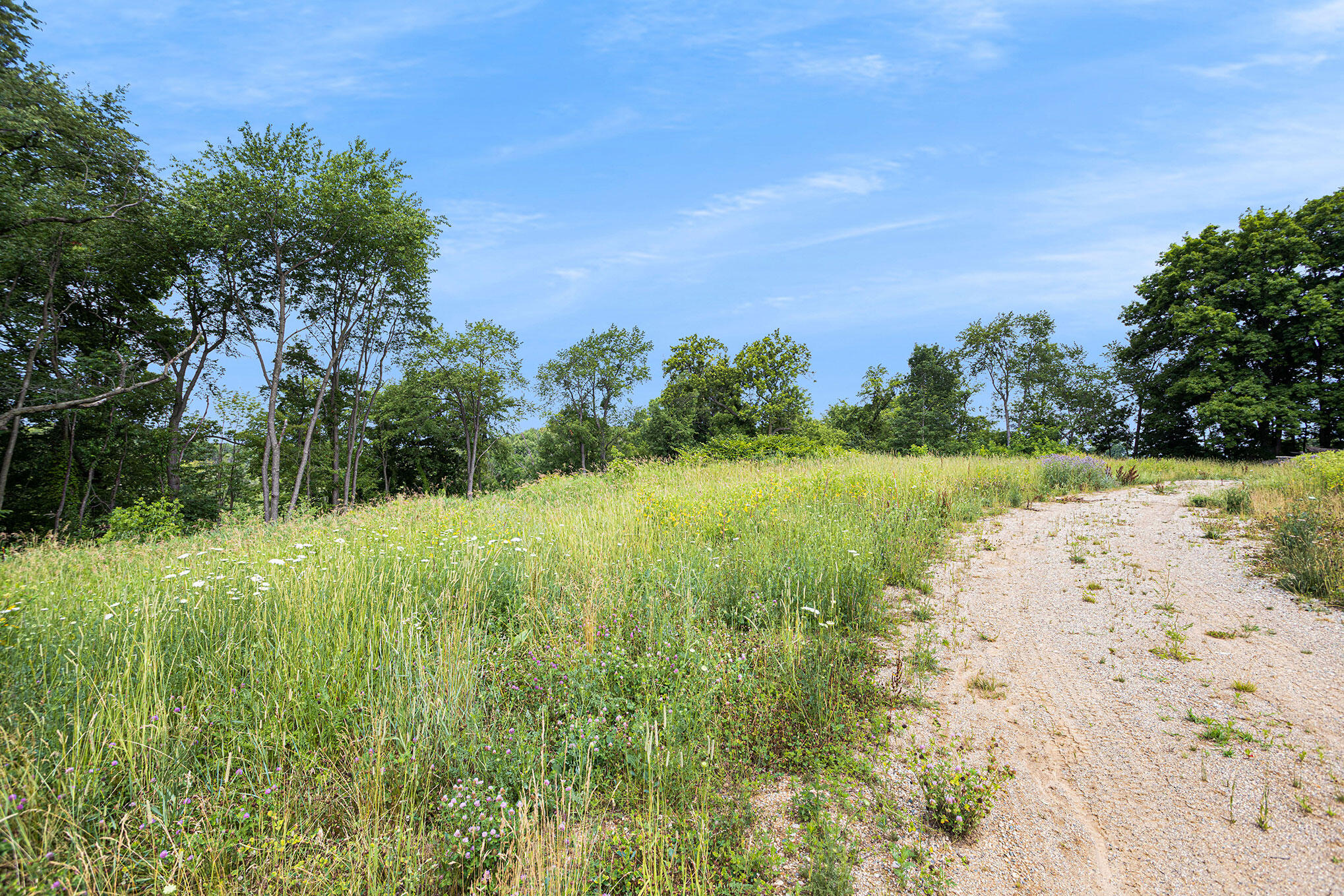0 Duncan Lake Road Middleville, MI 49333 - Photo 17 of 28 DNG-9