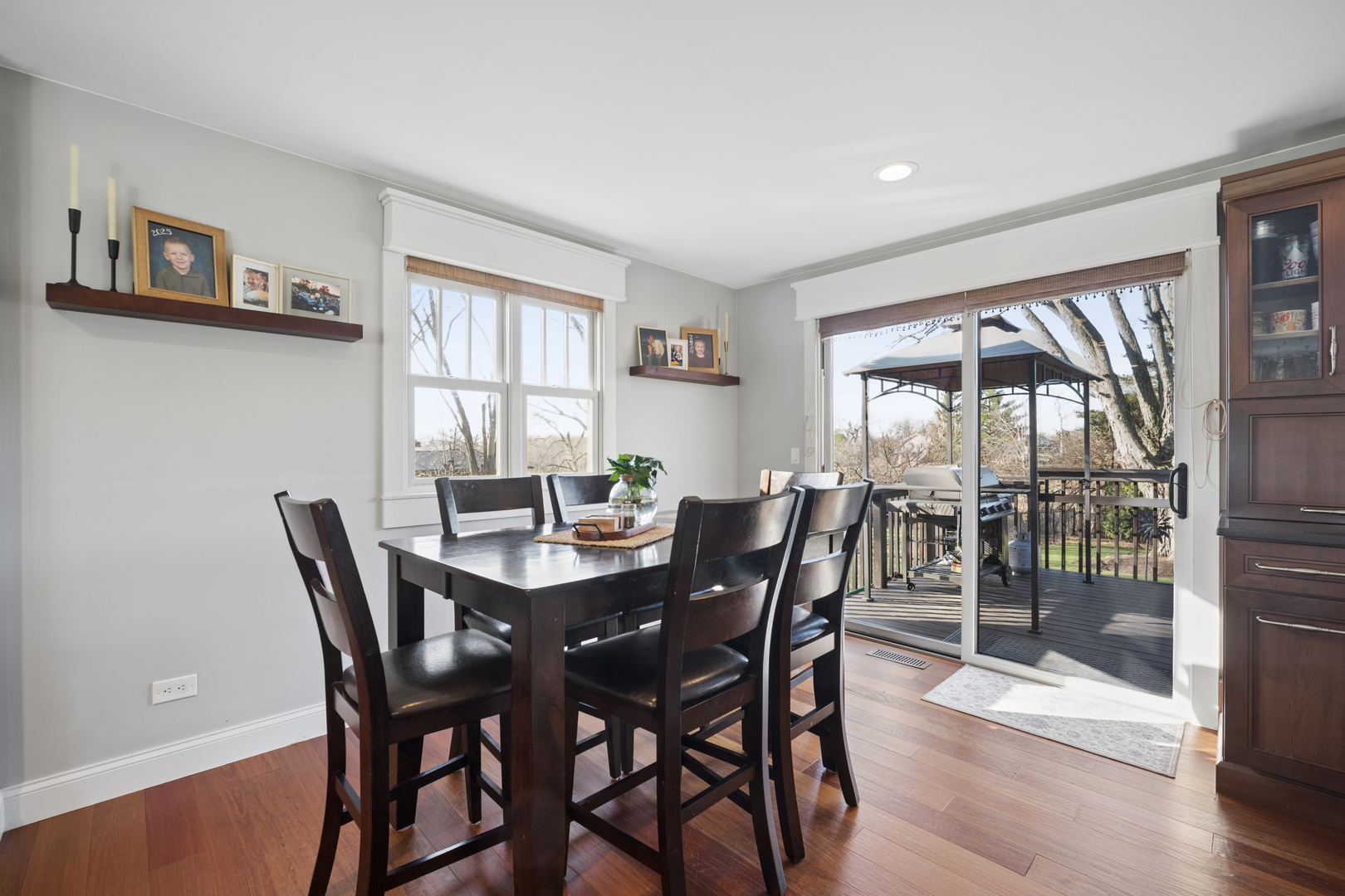 9N930 Koshare Circle Elgin, IL 60124 - Photo 9 of 52