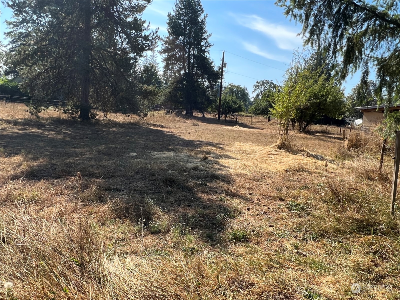 226 Limmer Road Winlock, WA 98596 - Photo 27 of 32 a view of dirt yard with a large tree