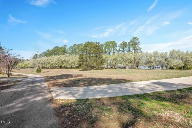a view of big yard with large trees