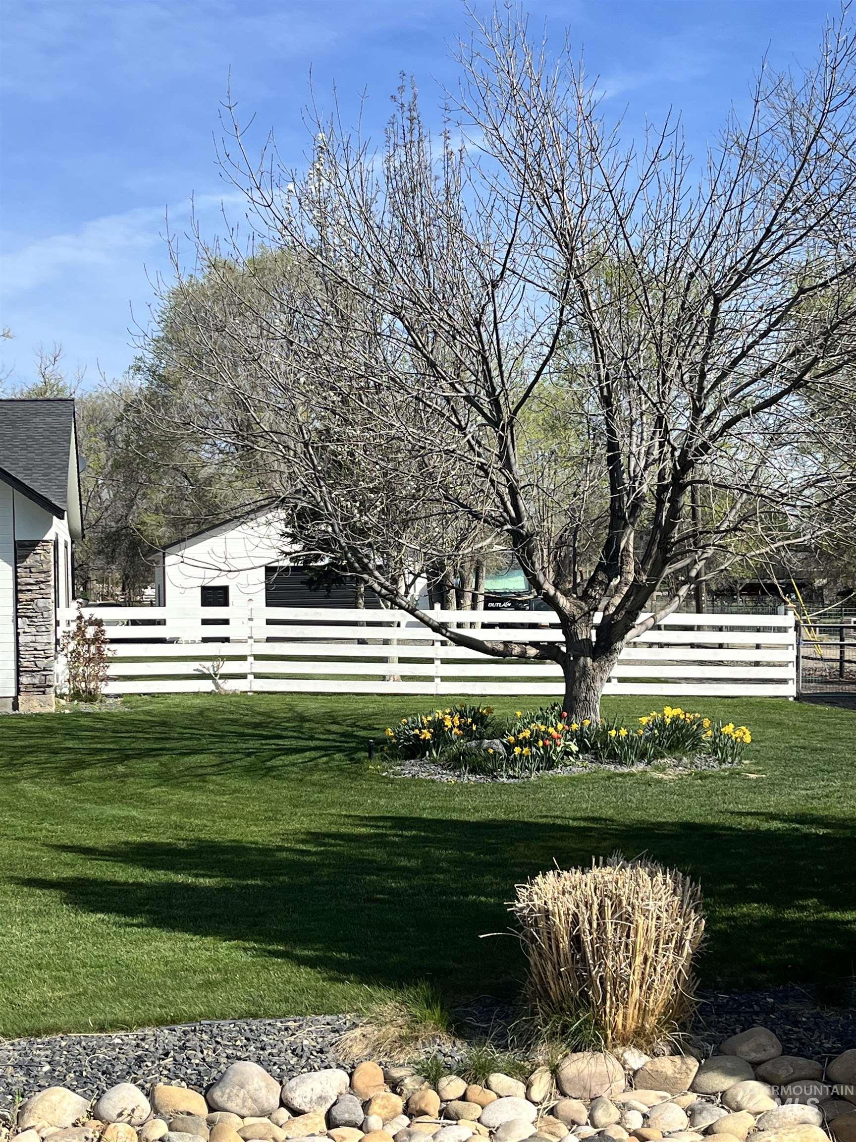 710 Keogh Lane Caldwell, ID 83607 - Photo 3 of 50 Expansive lawn featuring a mature tree, surrounding flower bed with yellow blooms, white horizontal fence, and decorative rock border