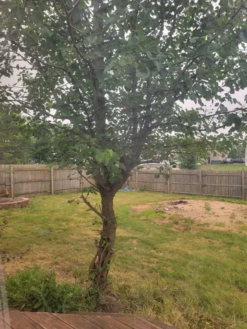 a view of a lake with a big yard