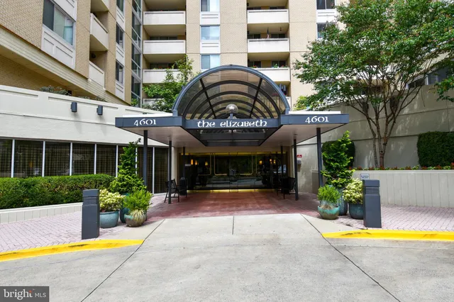 a view of a garden with a flower garden