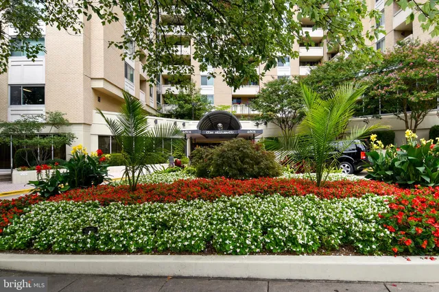 a view of a house with a yard and potted plants