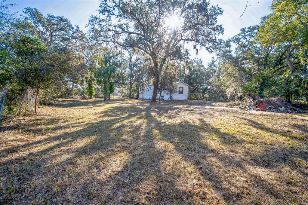 3705 Jerry Smith Road Dover, FL 33527 - Photo 1 of 1 a view of backyard with large trees and plants
