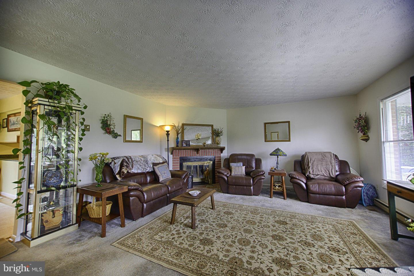 5810 Howellsville Road Front Royal, VA 22630 - Photo 5 of 30 Family Room