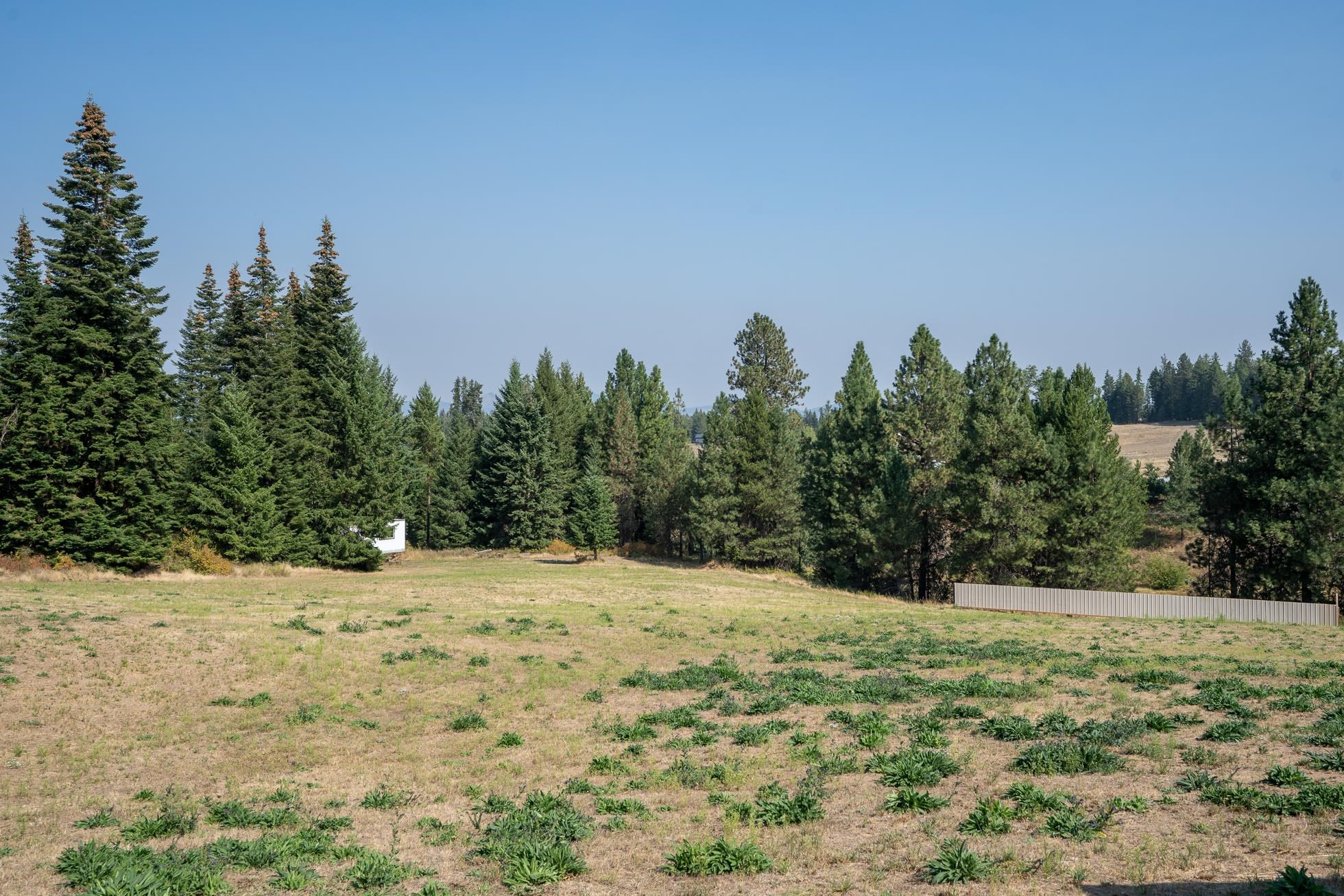 33825 North Dunn Road Chattaroy, WA 99003 - Photo 24 of 31