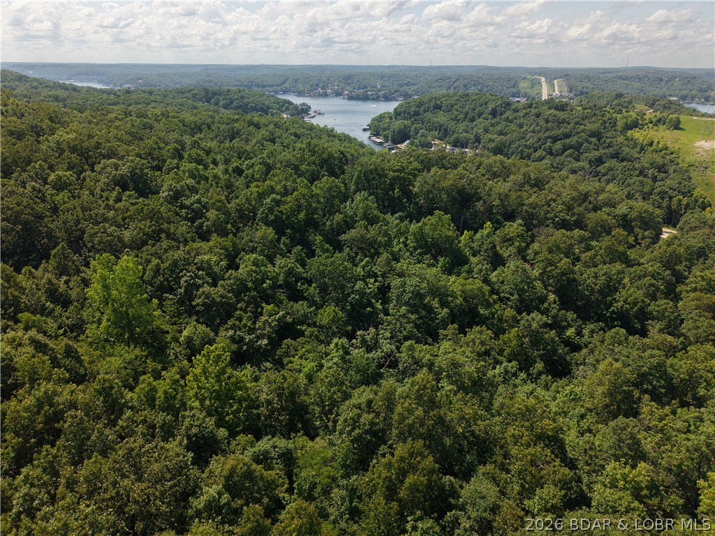 Lot 37 Red Dirt Road Camdenton, MO 65020 - Photo 2 of 4