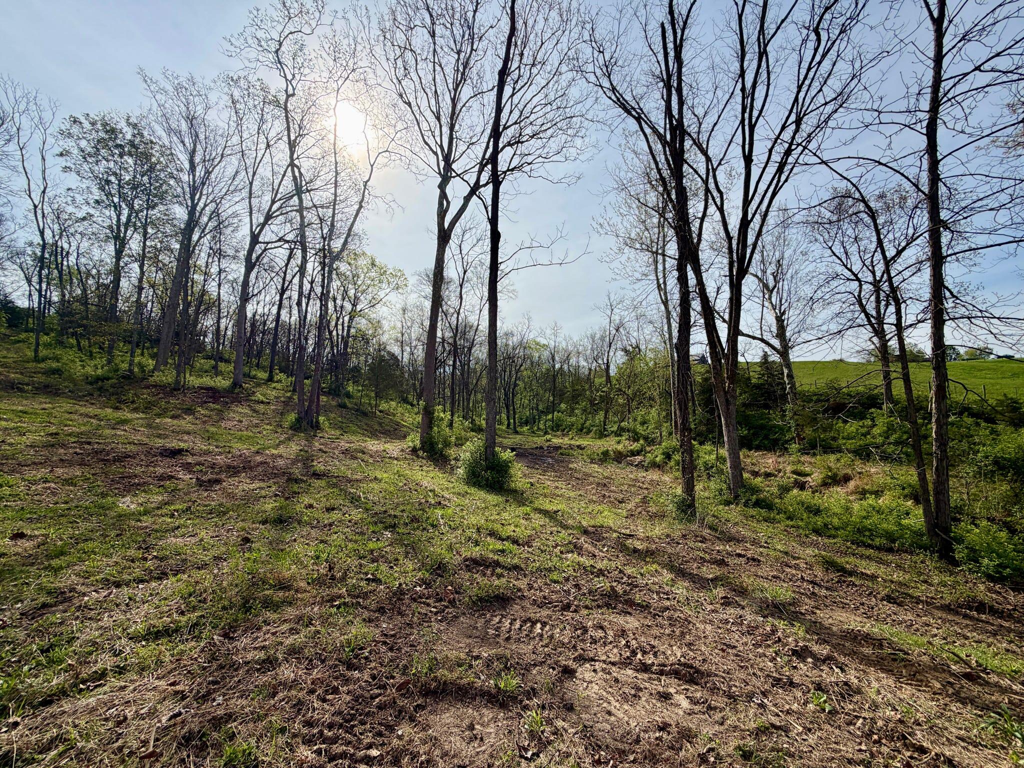 24 East Union Road Carlisle, KY 40311 - Photo 42 of 52 Clearing