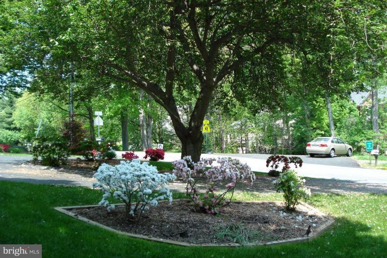 6251 Park Road McLean, VA 22101 - Photo 2 of 20 Front Yard