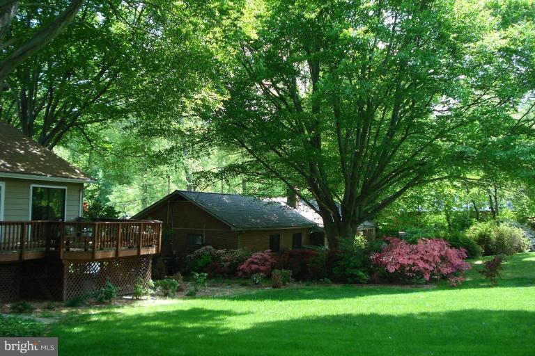 6251 Park Road McLean, VA 22101 - Photo 5 of 20 Back yard