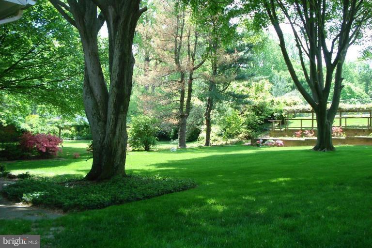 6251 Park Road McLean, VA 22101 - Photo 7 of 20 Rear Yard