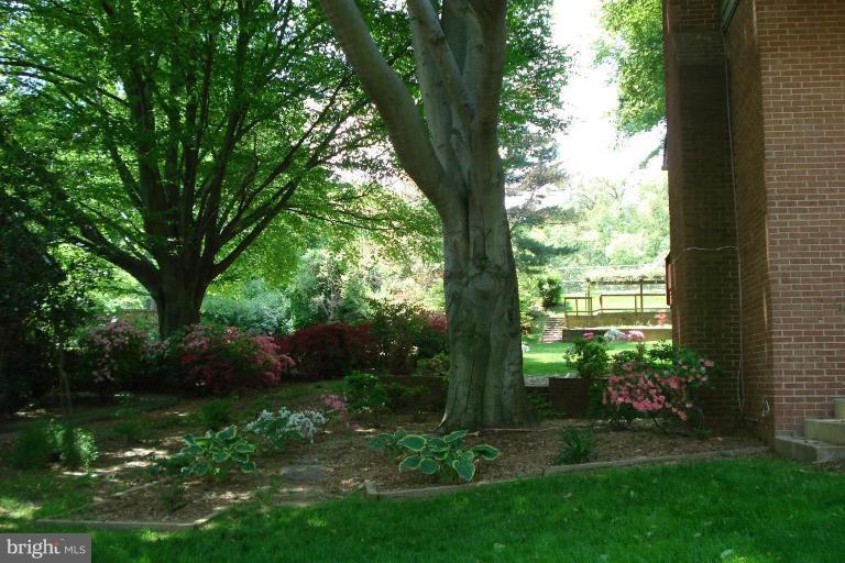6251 Park Road McLean, VA 22101 - Photo 8 of 20 Side Yard and Patio