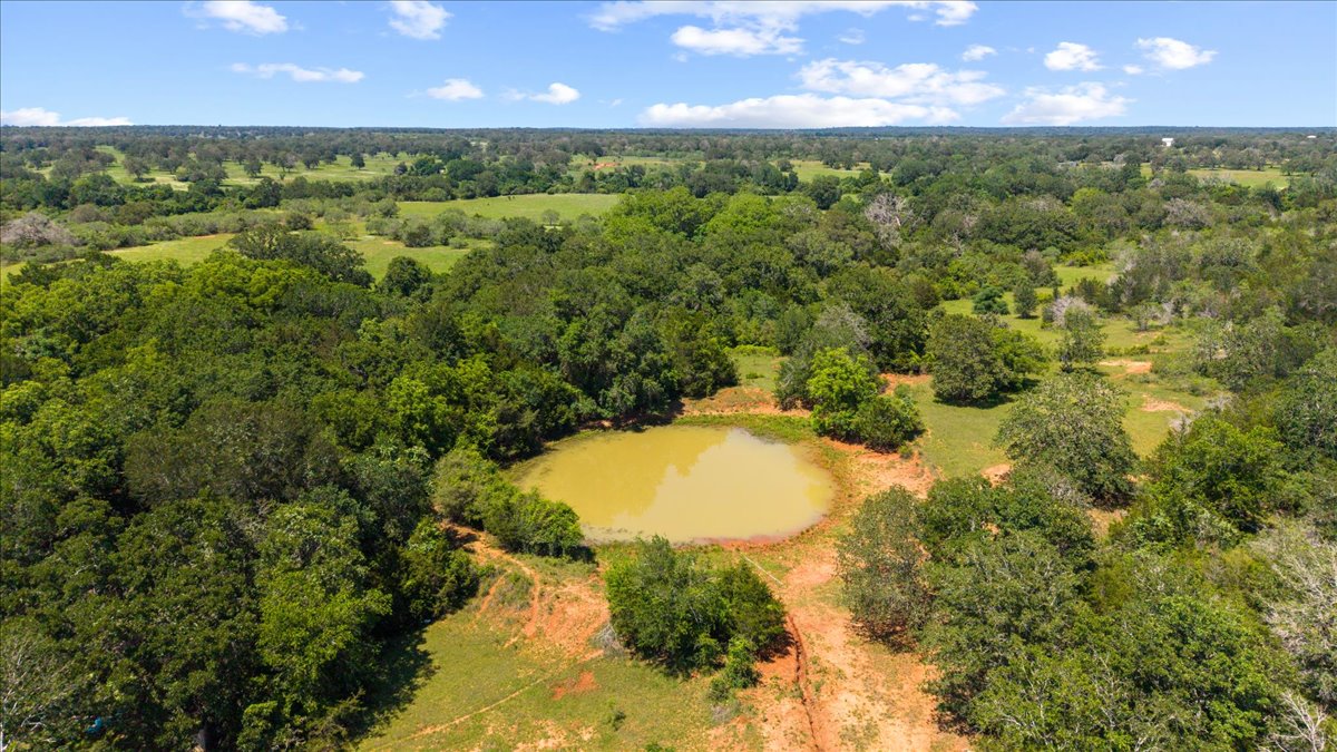 1648 Jeddo Road Rosanky, TX 78953 - Photo 14 of 19 a view of outdoor space and yard