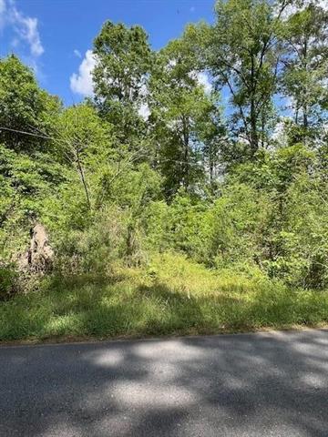 Tbd Jeane Chapel Road Leesville, LA 71446 - Photo 2 of 6