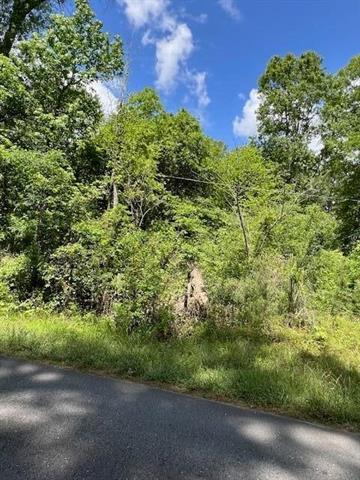 Tbd Jeane Chapel Road Leesville, LA 71446 - Photo 3 of 6