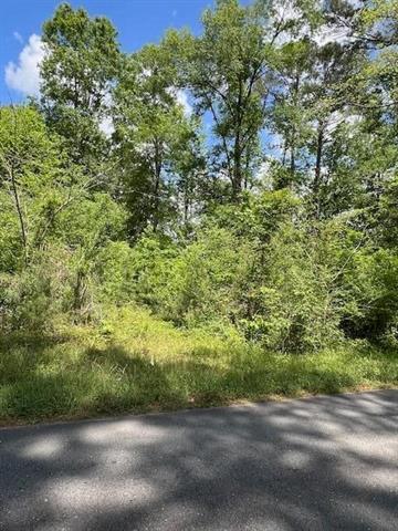 Tbd Jeane Chapel Road Leesville, LA 71446 - Photo 4 of 6