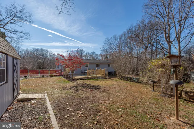 a view of a yard with snow on the tree