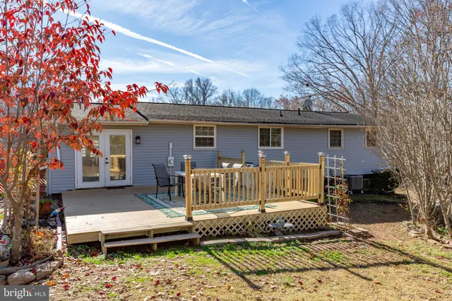 a view of a yard with a large tree