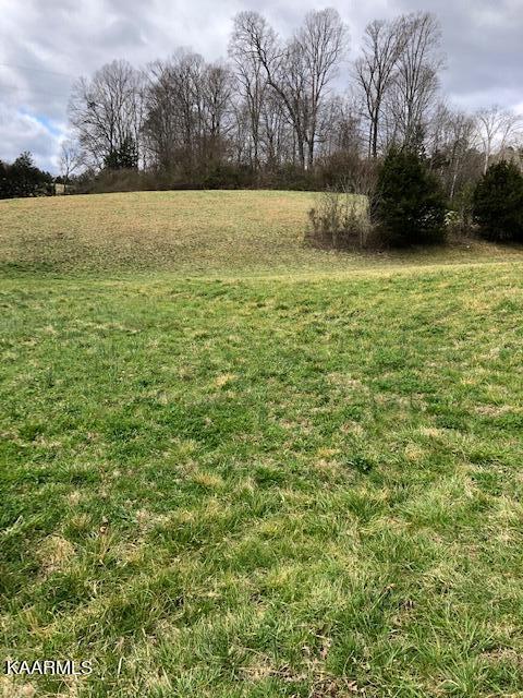 Boyer Road Andersonville, TN 37705 - Photo 3 of 5 photo 1