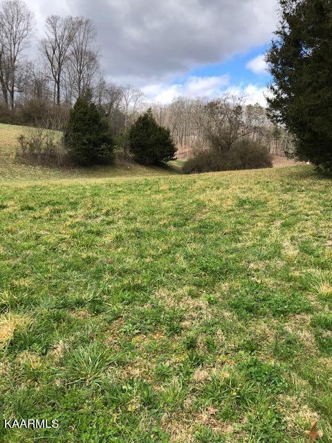 Boyer Road Andersonville, TN 37705 - Photo 4 of 5 photo 2