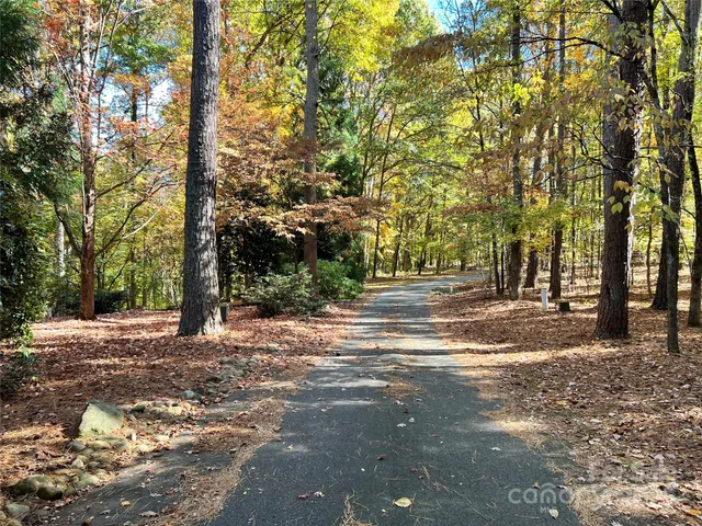 a view of road with trees