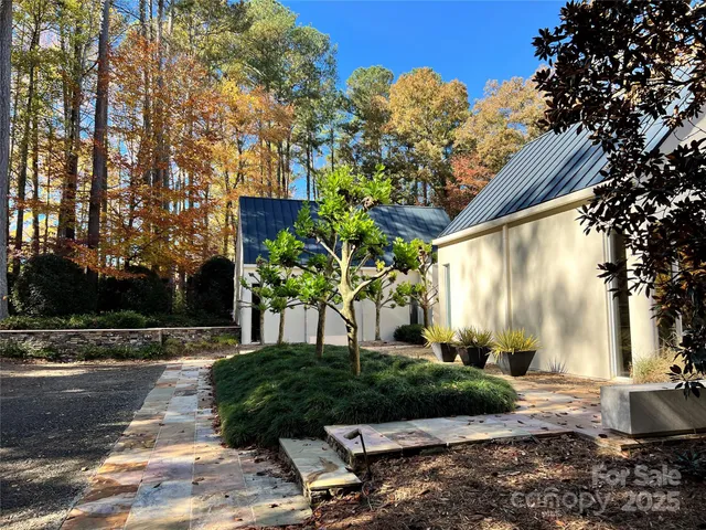 a view of a backyard with potted plants and large trees
