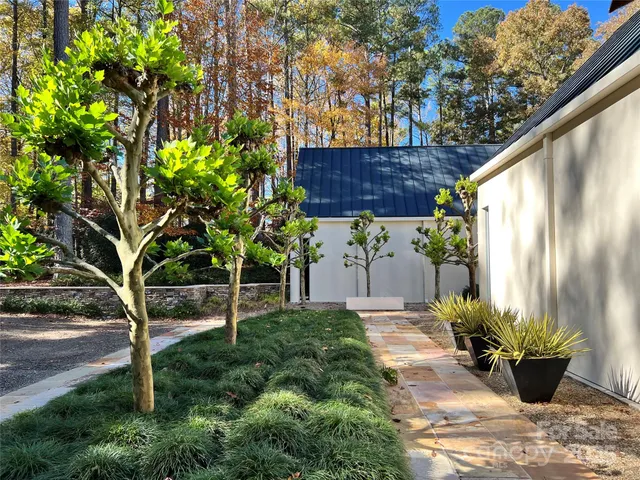 a view of a backyard with potted plants and large trees