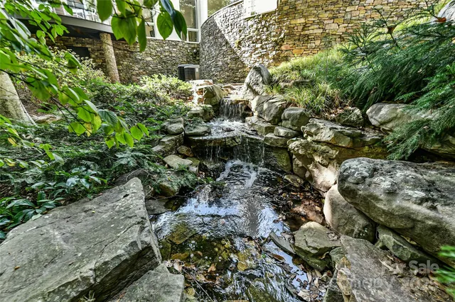 a view of a garden with plants