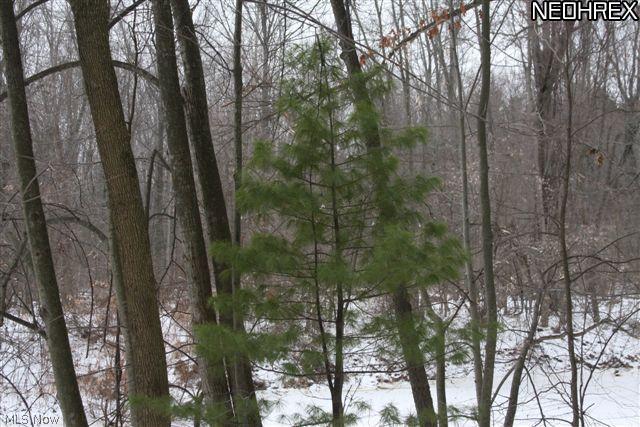 4 Timber Ridge Road Grafton, OH 44044 - Photo 11 of 15 Gallery Image 11