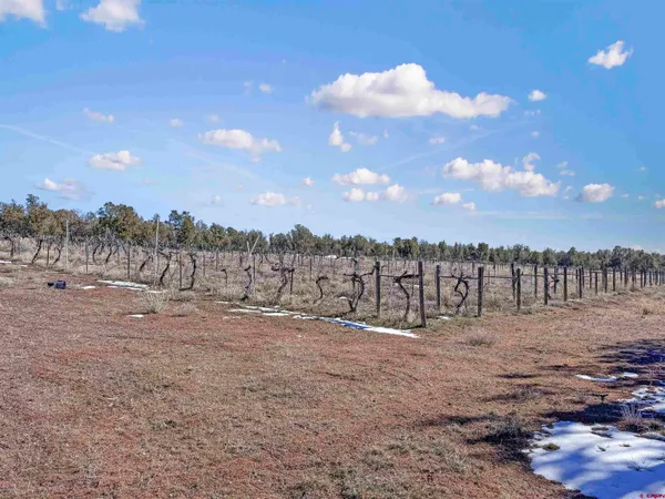 $899,000 | 22895 Cr 10 Pleasant View, Pleasant View, CO 81331