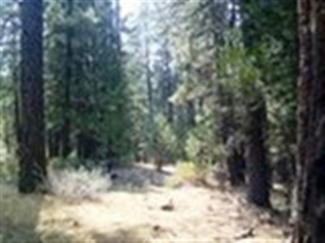 461 Cottontail Road Clio, CA 96106 - Photo 8 of 10