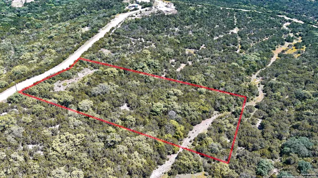 a picture of flowers