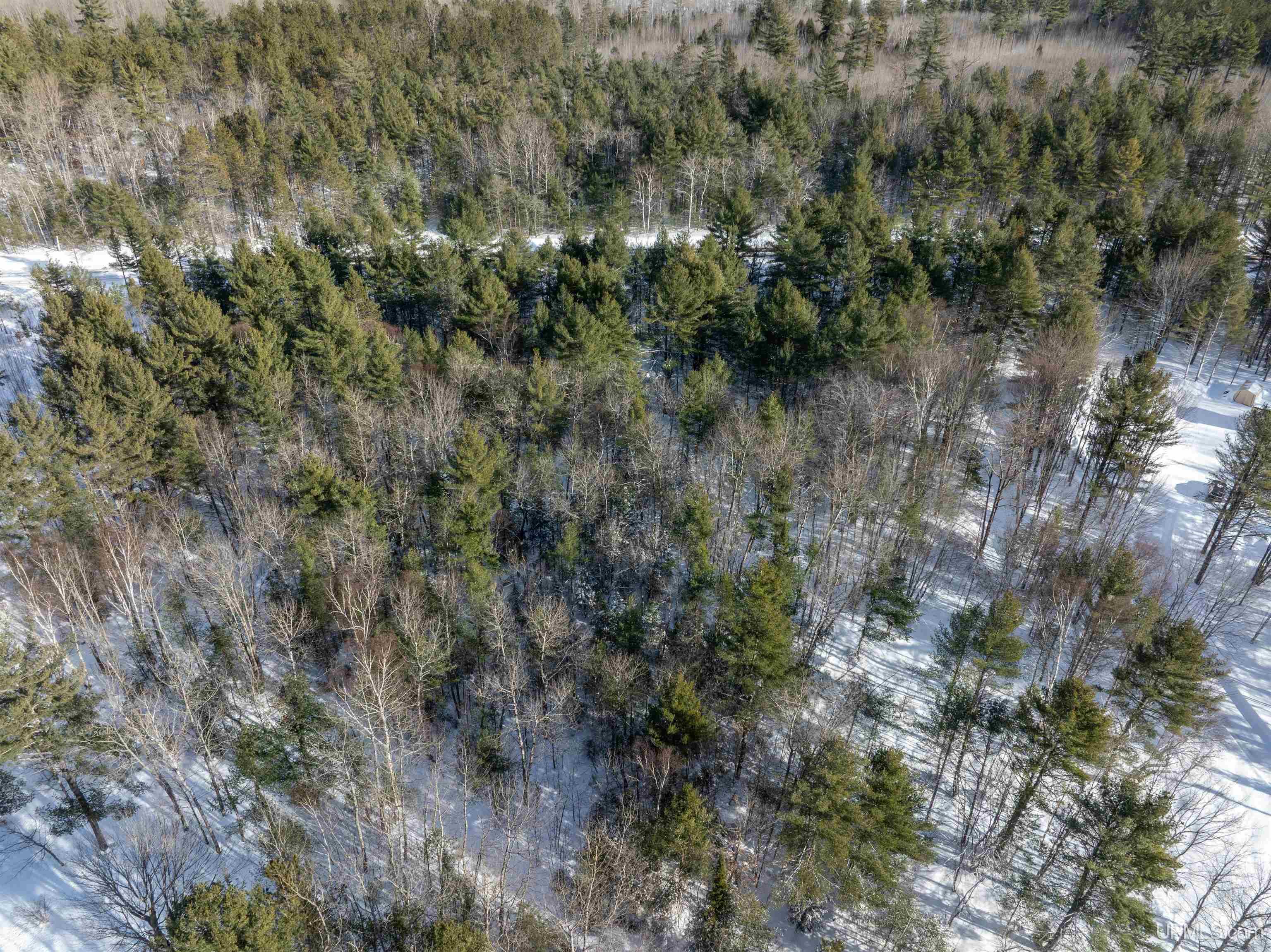 8669 M-94 Road Wetmore, MI 49895 - Photo 3 of 14