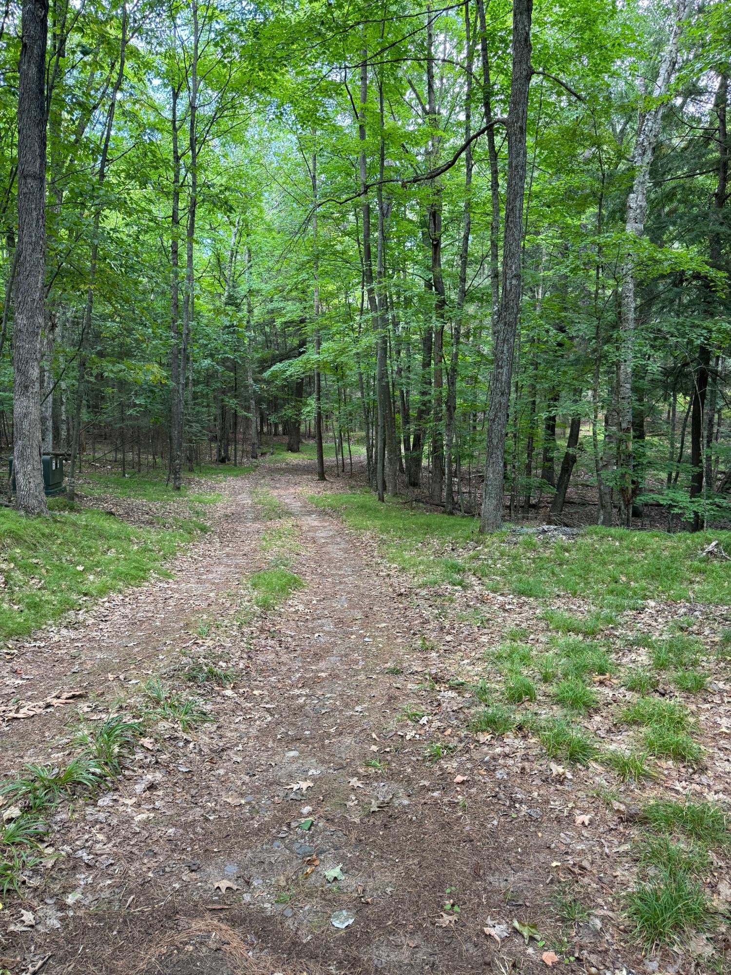 5455 Birch Lake Road Harshaw, WI 54529 - Photo 19 of 20 Gallery Image 19