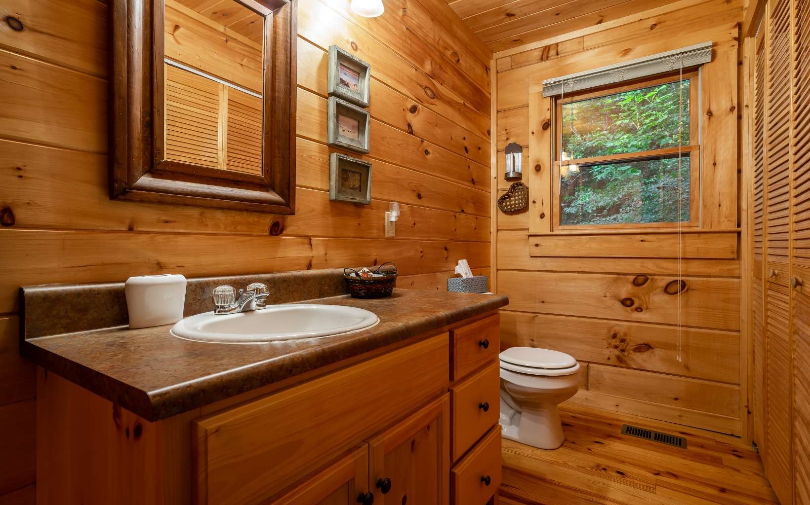 282 Papa Bear Path Cherry Log, GA 30522 - Photo 20 of 33 a bathroom with a sink toilet and window