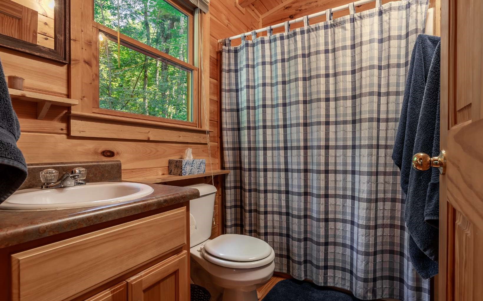 282 Papa Bear Path Cherry Log, GA 30522 - Photo 9 of 33 a bathroom with a sink toilet and shower
